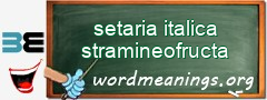 WordMeaning blackboard for setaria italica stramineofructa